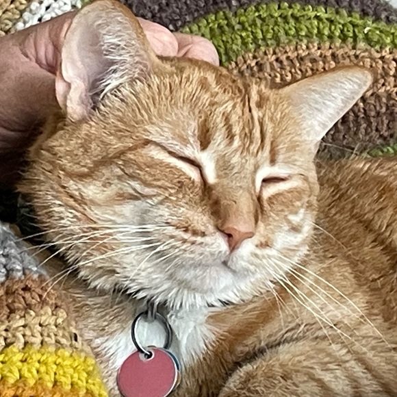 Meet your Posher, Marylou - Picture 2 of 3